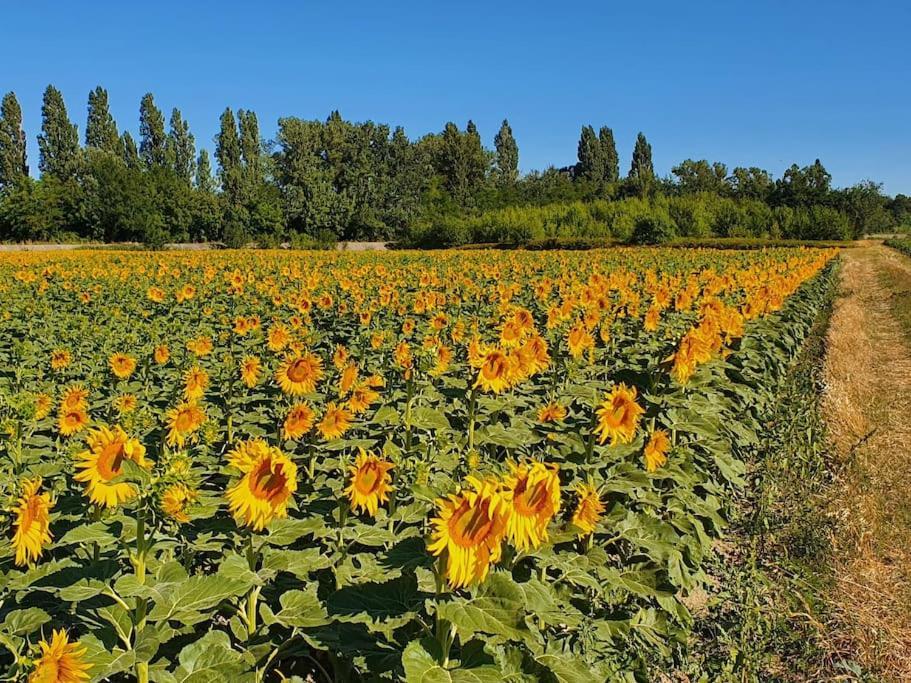 퐁생테스프릿 L'Ardeche En Provence Avec Jardin Ombrage 빌라 외부 사진