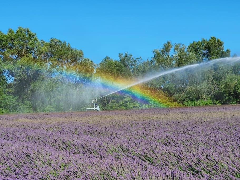 퐁생테스프릿 L'Ardeche En Provence Avec Jardin Ombrage 빌라 외부 사진